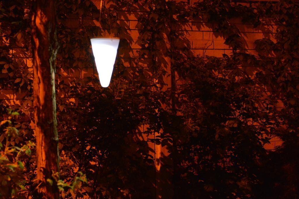 Exit Routine Hostel Timisoara Luaran gambar