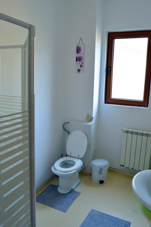 Exit Routine Hostel Timisoara Luaran gambar