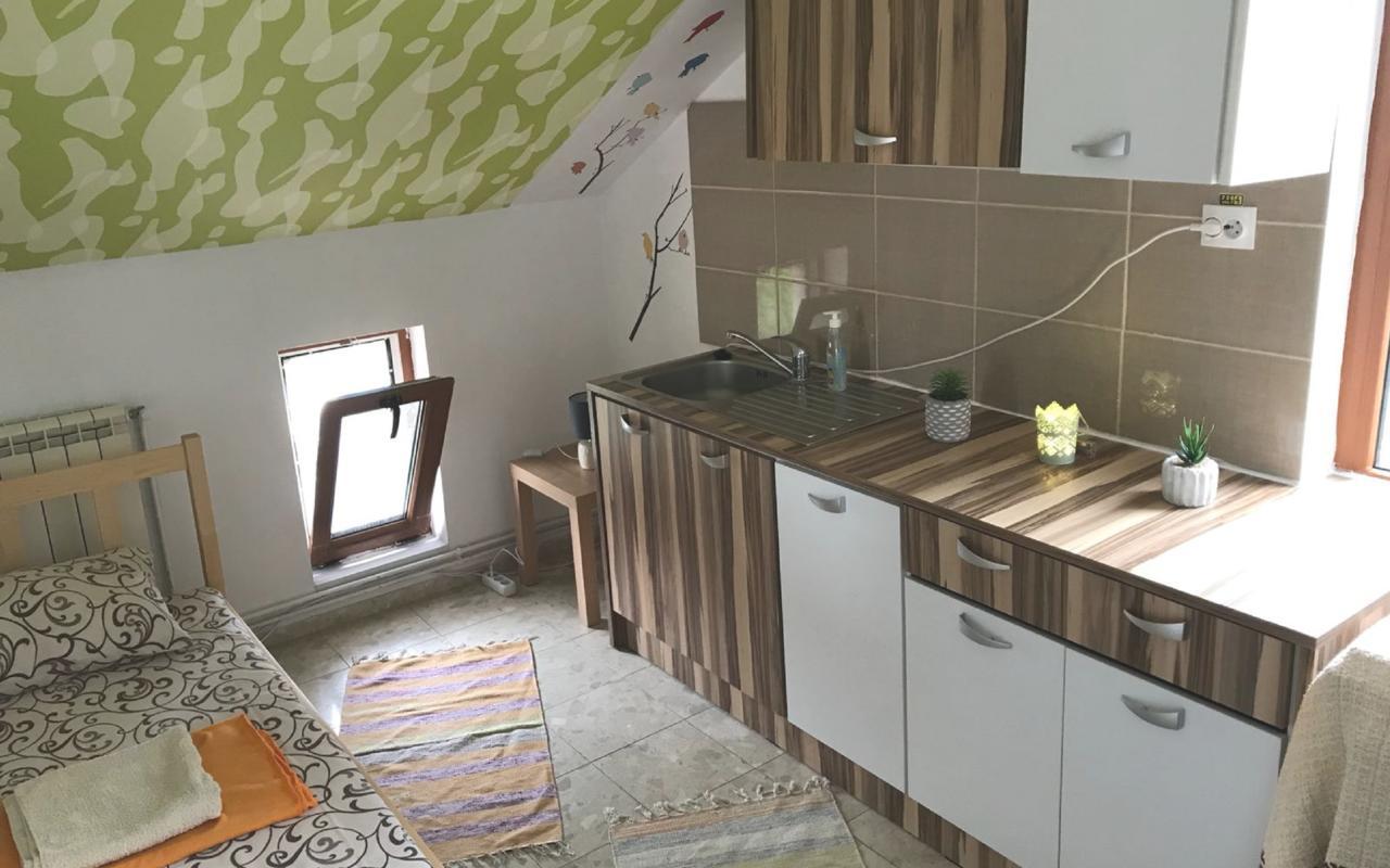 Exit Routine Hostel Timisoara Luaran gambar